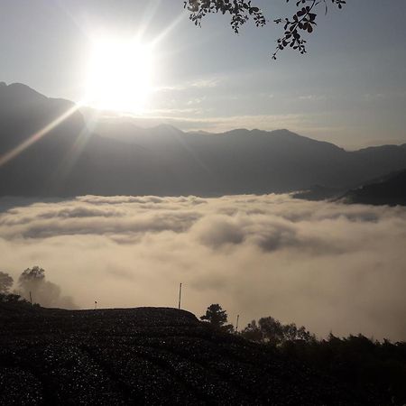 Alishan Shanyunhua B&B Homestay Meishan Exterior foto